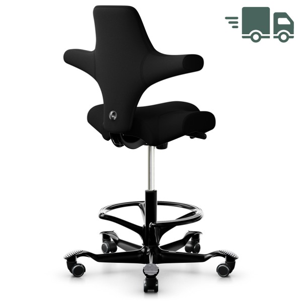 HAG Capisco 8106 schwarz mit Fußring - Rückansicht 