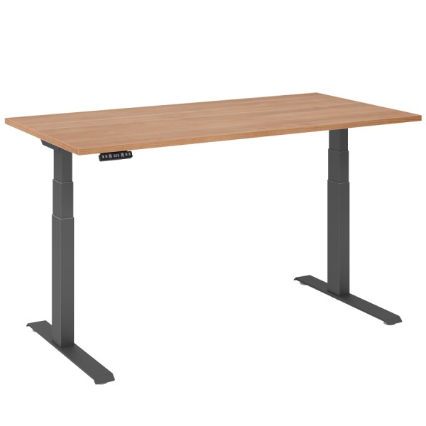 RWH RAPID Schreibtisch elektrisch verstellbar - Nussbaum - 160 cm Breite